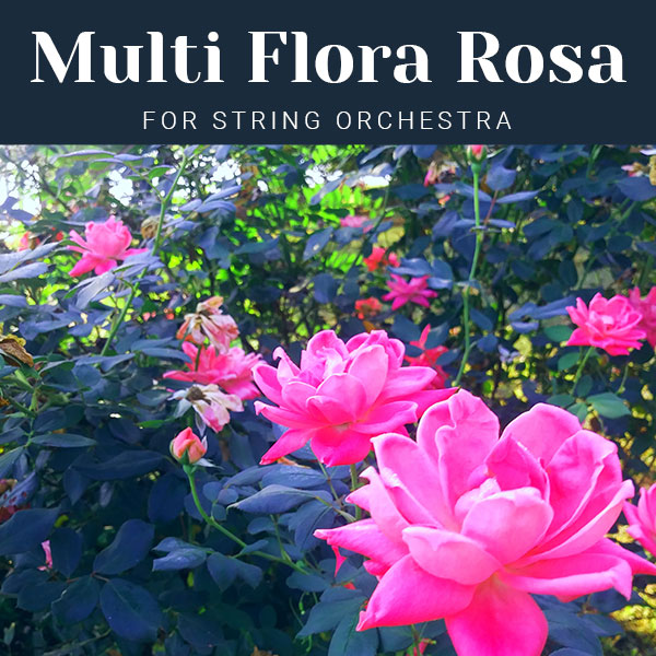 Multi Flora Rosa for String Orchestra