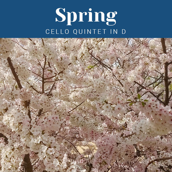 Spring Cello Quintet in D
