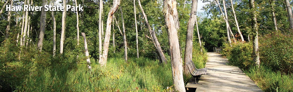 Haw River State Park boardwalk