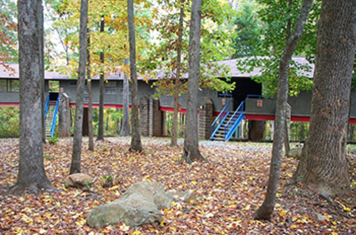 Tree Train Cabins